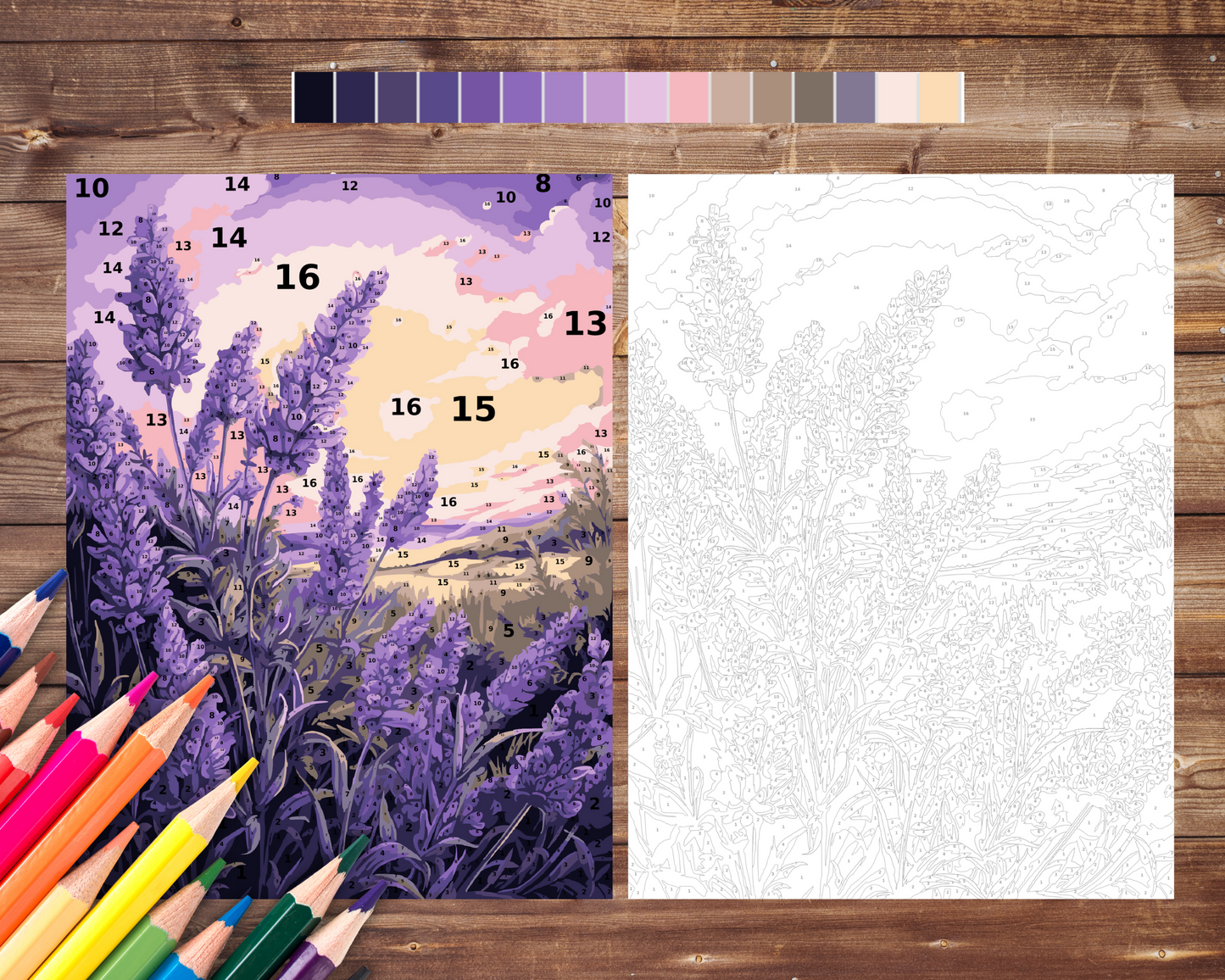 Color By Number for Adult, Lavender Paint by Number, Flower Printable Coloring Pages Sheets, Digital Download, PDF, PNG, SVG