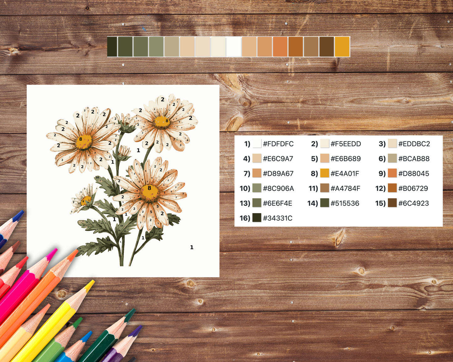 April Birth Flower Color by Number, Daisy Flower Paint By Number for Adult, Printable Coloring Pages Sheets, Digital Download, PDF, PNG, SVG