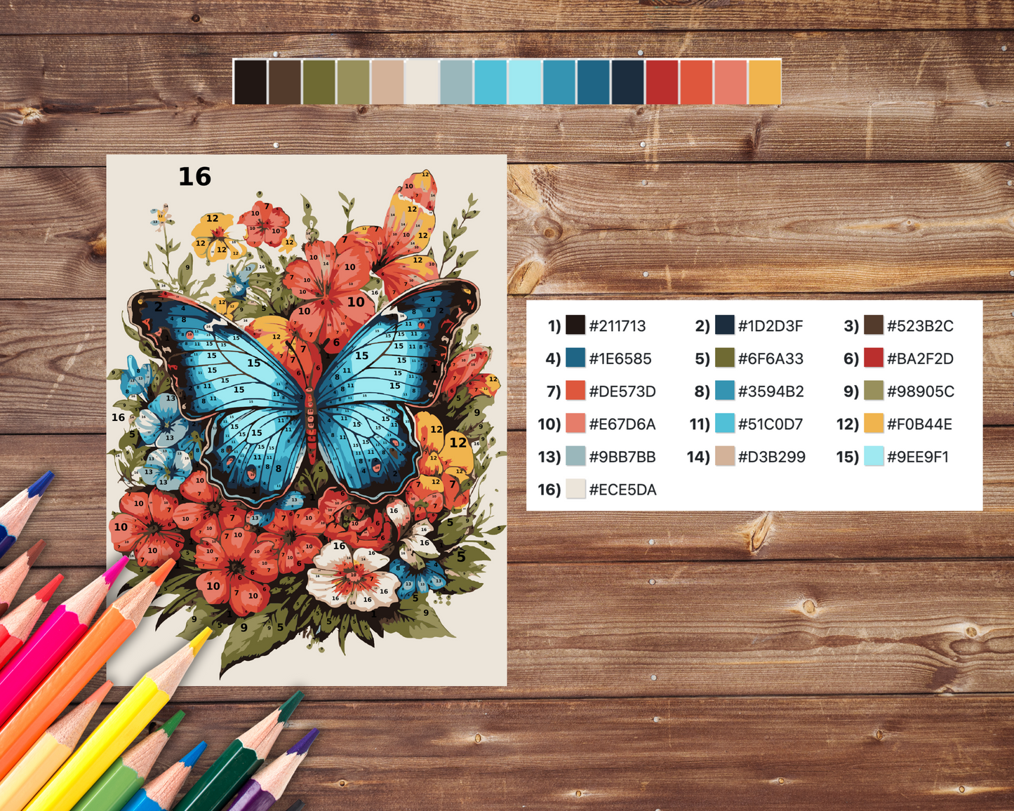 Color By Number for Adults, Butterfly Paint by Number, Printable Coloring Pages Sheets, Digital Download, PDF