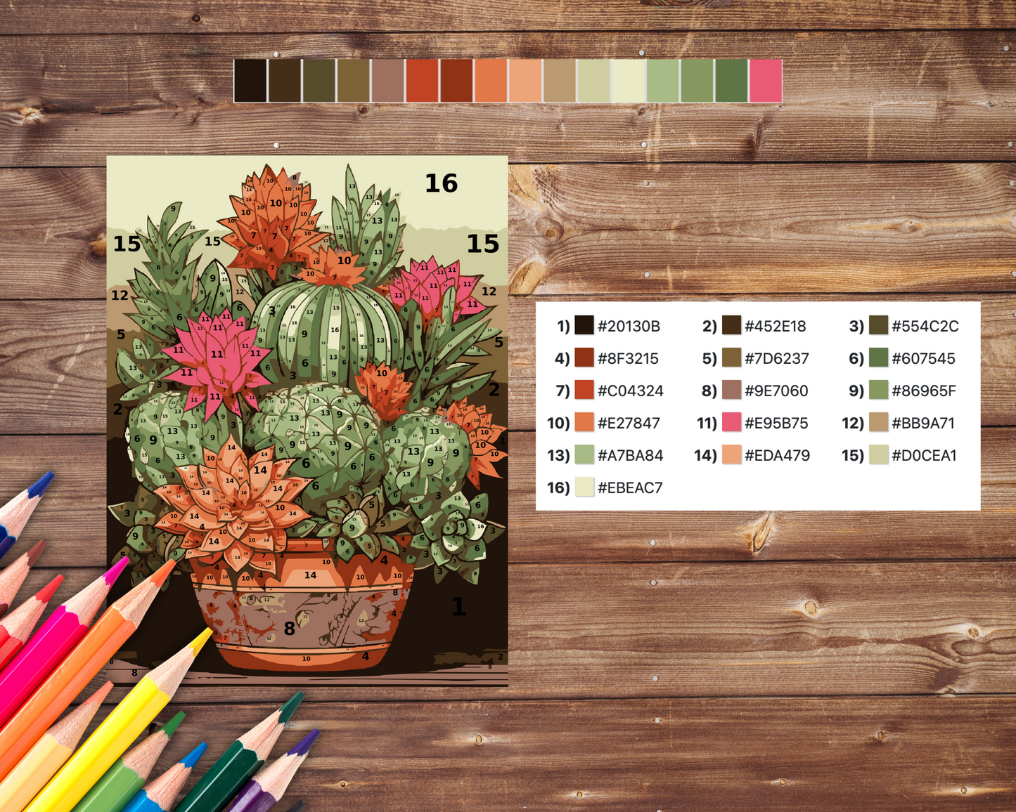 Color By Number for Adult, Cactus Succulent Paint by Number, Printable Coloring Pages Sheets, Digital Download, PDF, PNG