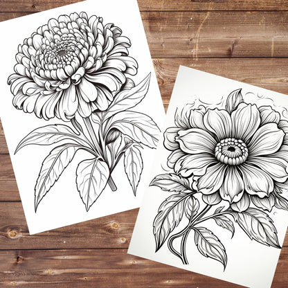 40 Blossom Magic Coloring Book, Grayscale Beautiful Flowers Coloring Adults and Kids, Floral, Flower Bundle, Printable PDF, Instant Download