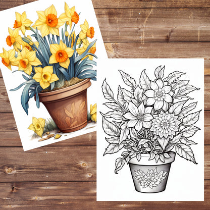 Flowers Pots Coloring Book, Digital Download