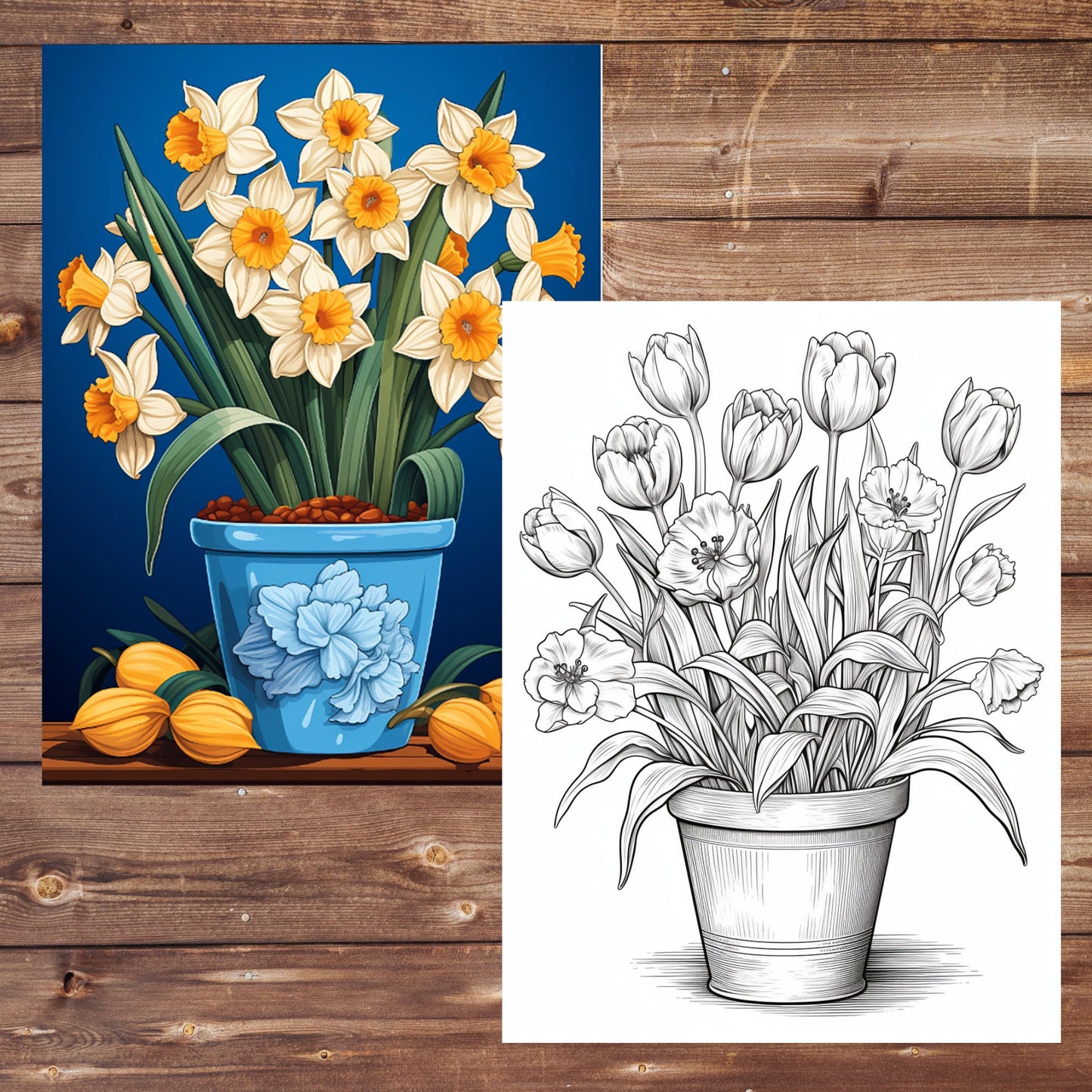 Flowers Pots Coloring Book, Digital Download