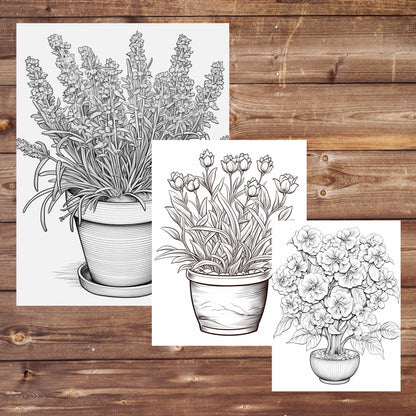 Flowers Pots Coloring Book, Digital Download