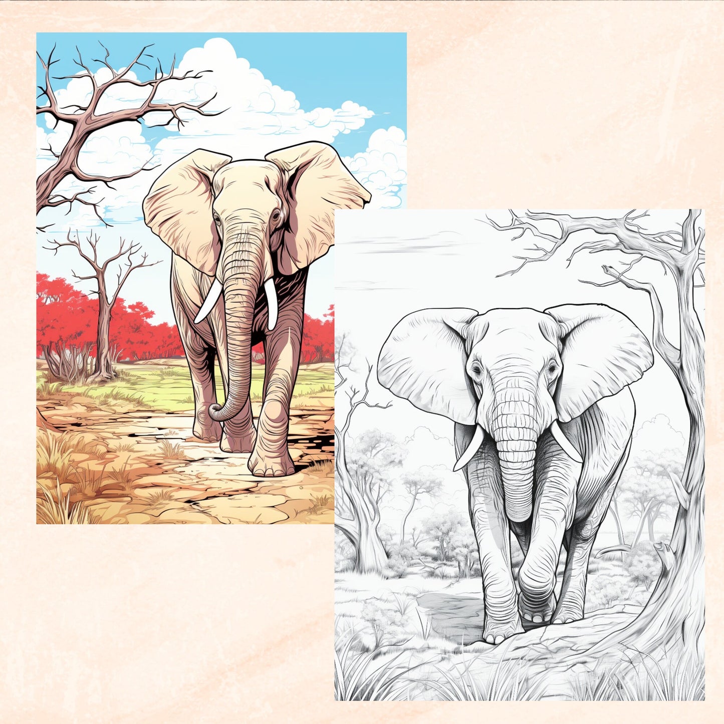 Safari Animals Coloring Book, Digital Download