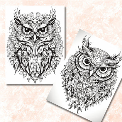 Mystical Owls Mandala Coloring Book, Digital Download