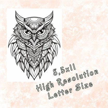 Mystical Owls Mandala Coloring Book, Digital Download