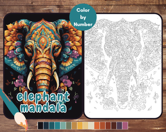 Color By Number for Adults, Elephant Mandala Paint by Number, Printable Coloring Pages Sheets, Digital Download, PDF, PNG