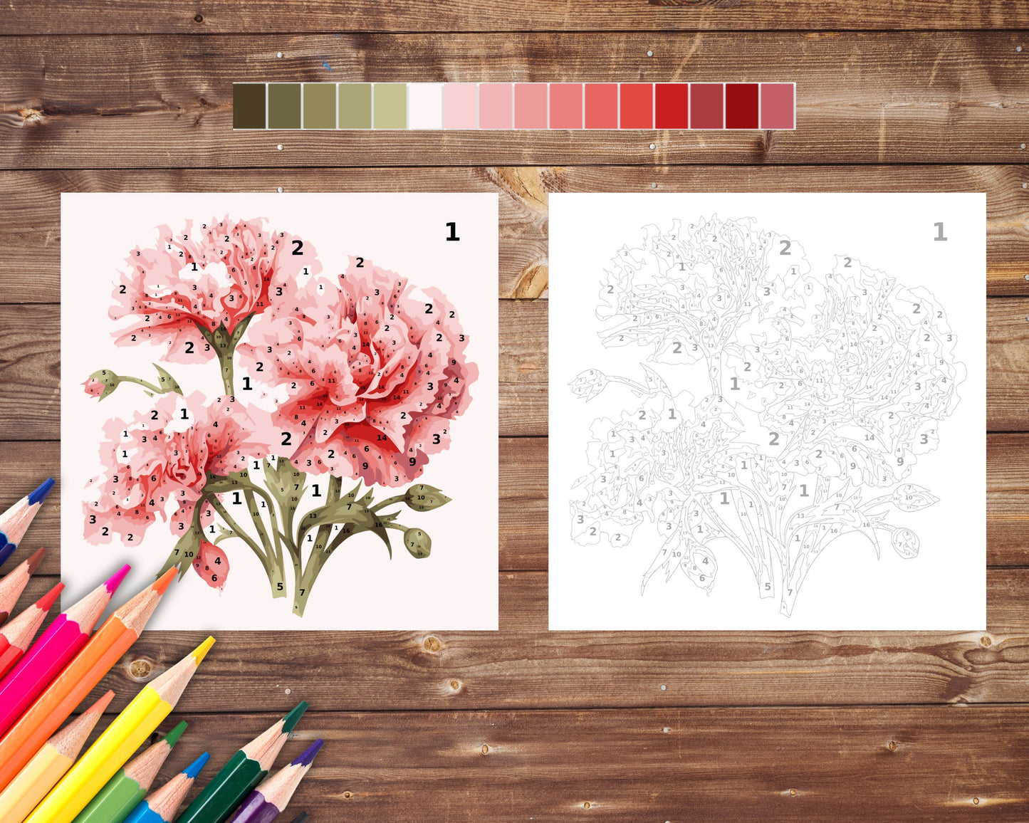 January Birth Flower Color by Number, Carnation Flower Paint By Number for Adult, Printable Coloring Pages Sheets, Digital Download, PDF&PNG