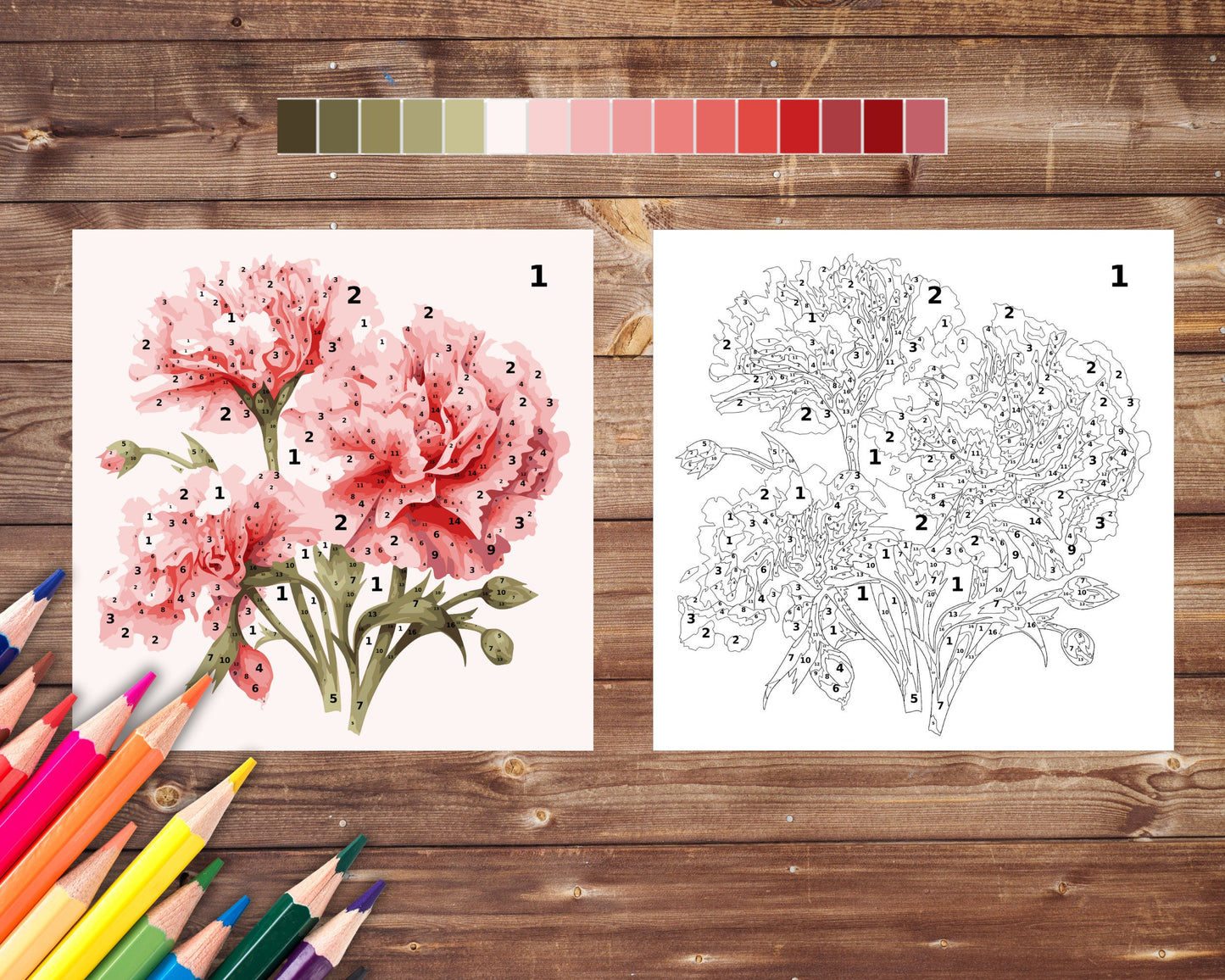 January Birth Flower Color by Number, Carnation Flower Paint By Number for Adult, Printable Coloring Pages Sheets, Digital Download, PDF&PNG