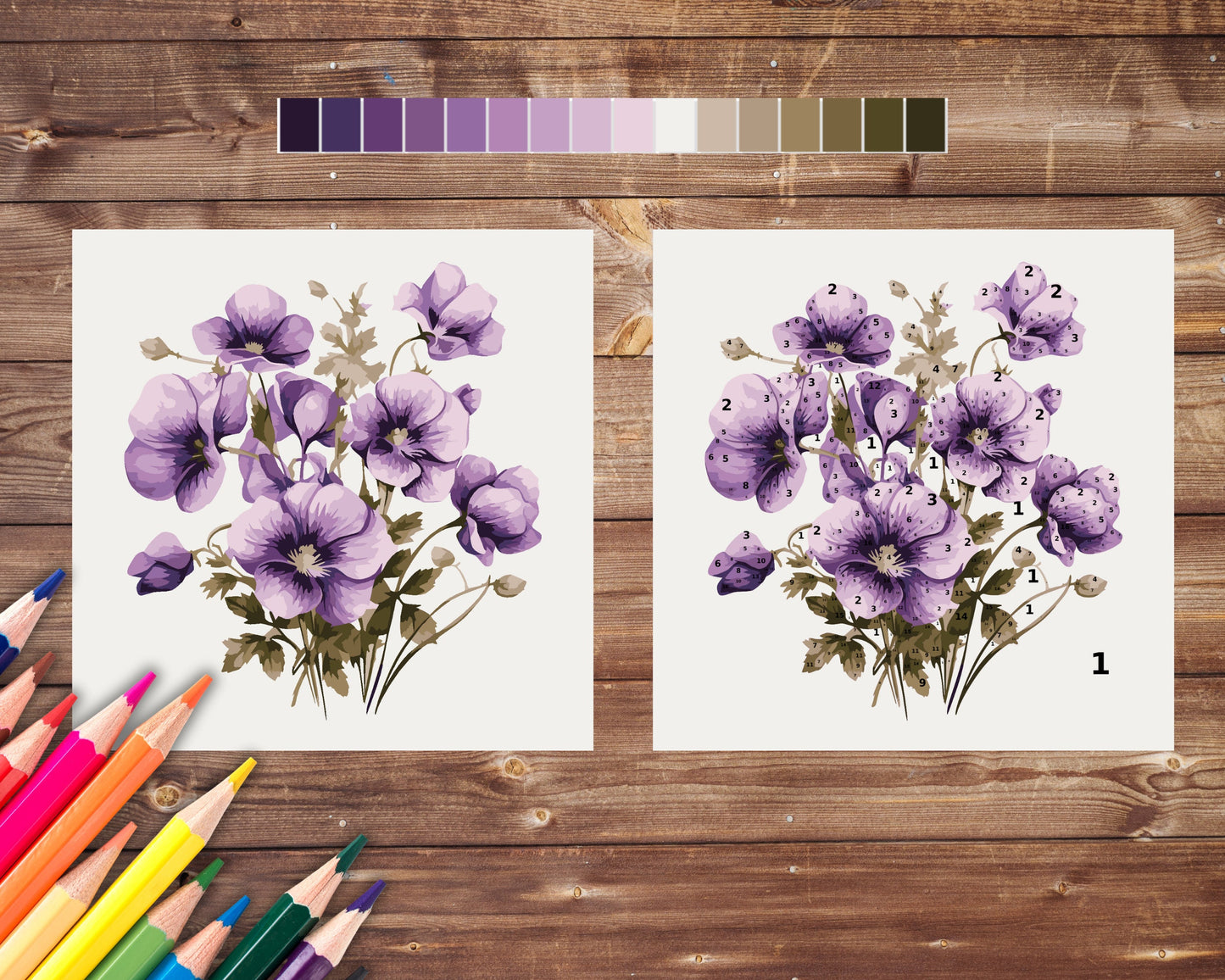 February Birth Flower Color by Number, Violet Flower Paint By Number for Adult, Printable Coloring Pages Sheets, Digital Download, PDF&PNG