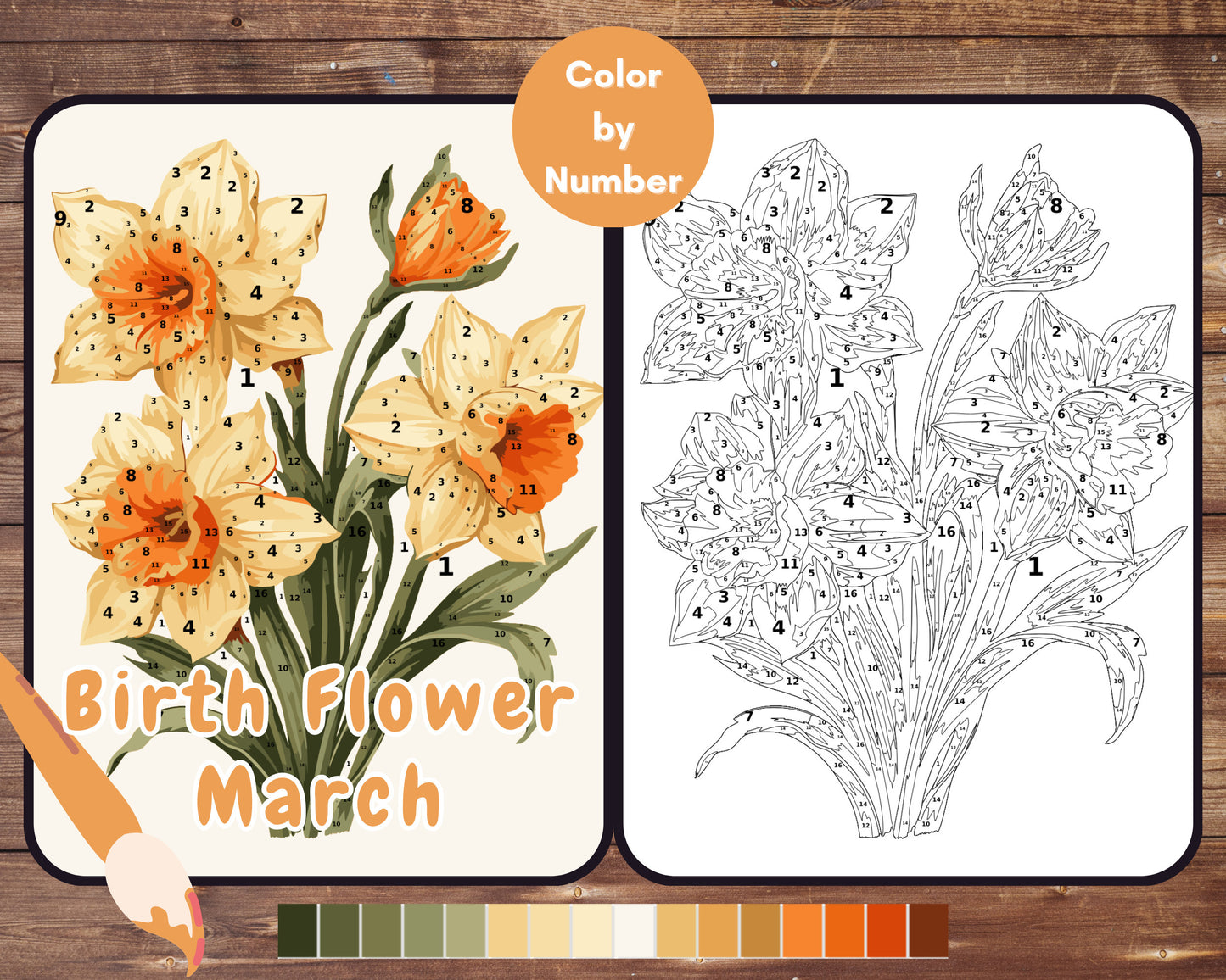 March Birth Flower Color by Number, Daffodil Flower Paint By Number for Adult, Printable Coloring Pages Sheets, Digital Download, PDF&PNG