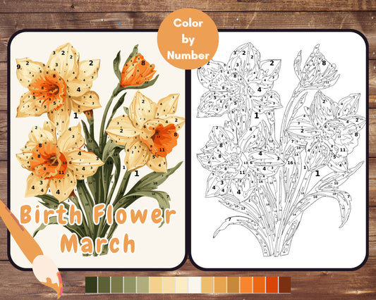 March Birth Flower Color by Number, Daffodil Flower Paint By Number for Adult, Printable Coloring Pages Sheets, Digital Download, PDF&PNG