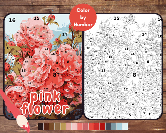 Color By Number for Adult, Pink Flower Paint by Number, Printable Coloring Pages Sheets, Carnation, Digital Download, PDF, PNG