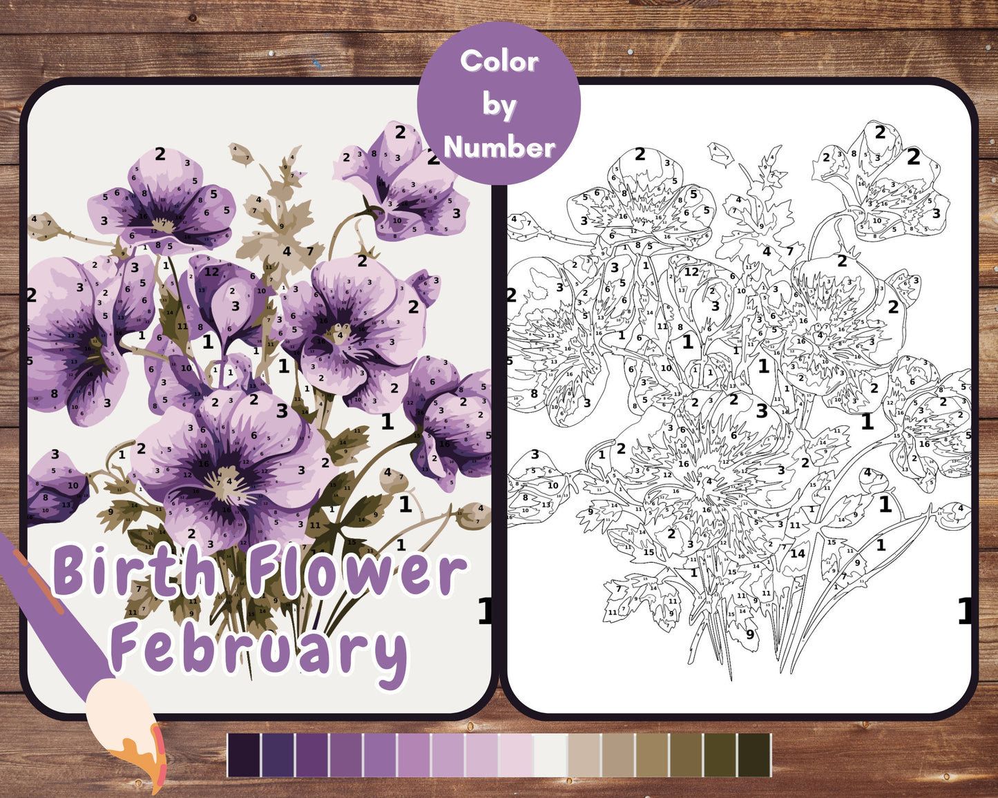 February Birth Flower Color by Number, Violet Flower Paint By Number for Adult, Printable Coloring Pages Sheets, Digital Download, PDF&PNG