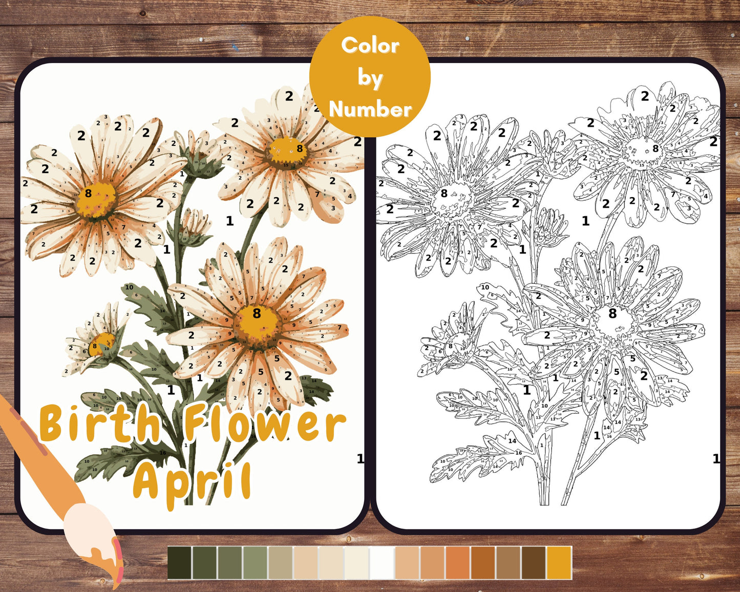 April Birth Flower Color by Number, Daisy Flower Paint By Number for Adult, Printable Coloring Pages Sheets, Digital Download, PDF, PNG, SVG