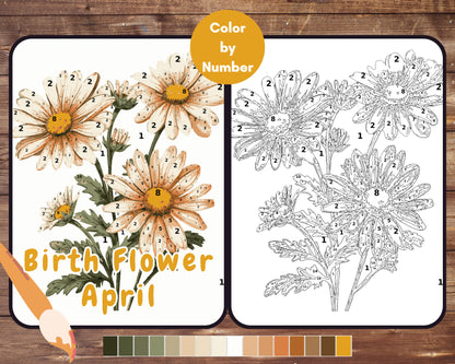 April Birth Flower Color by Number, Daisy Flower Paint By Number for Adult, Printable Coloring Pages Sheets, Digital Download, PDF, PNG, SVG