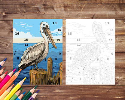 Pelican Paint by Number, Big Bird and Sea Color By Number for Adults, Printable Coloring Pages Sheets, Digital Download, PDF&PNG