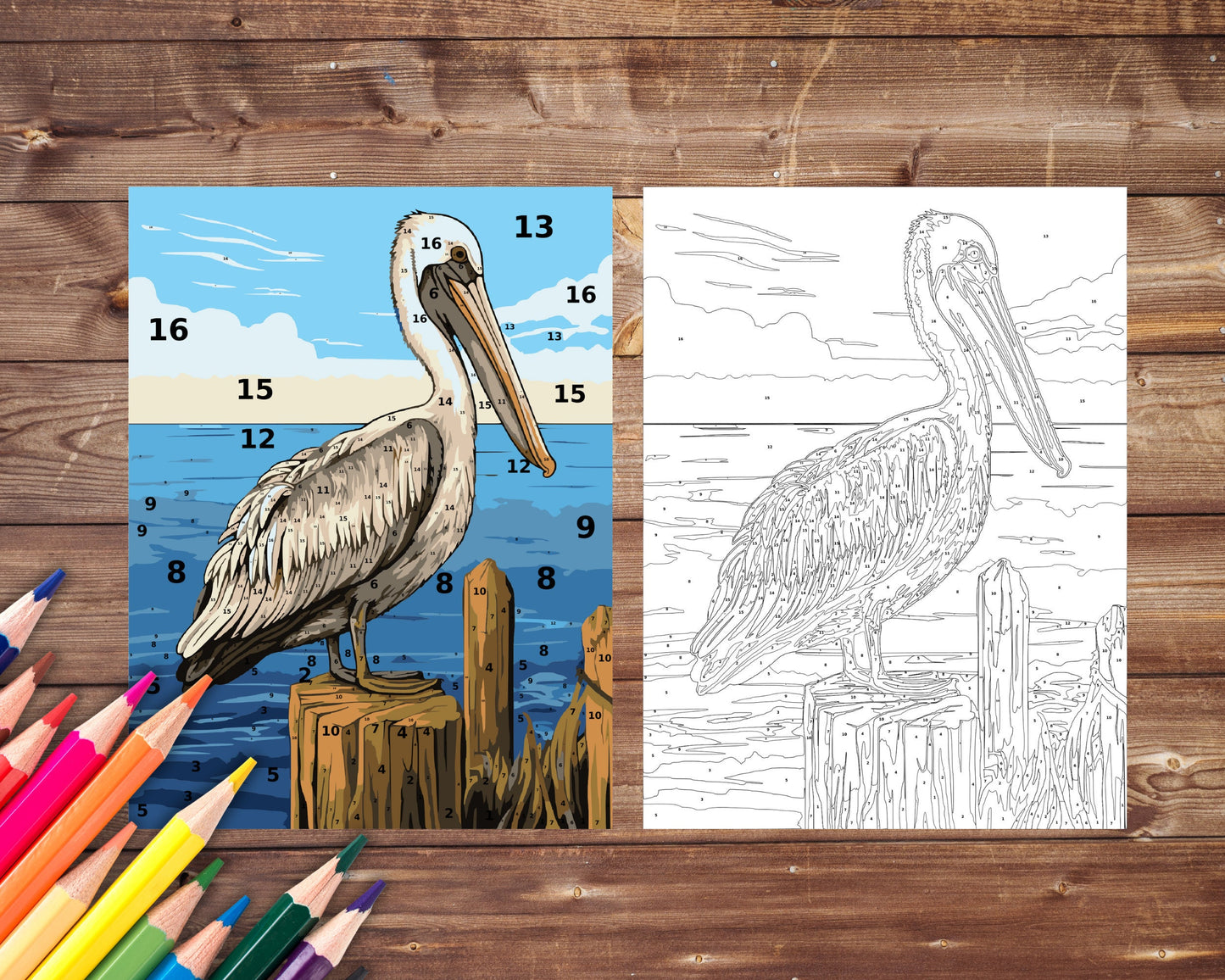 Pelican Paint by Number, Big Bird and Sea Color By Number for Adults, Printable Coloring Pages Sheets, Digital Download, PDF&PNG