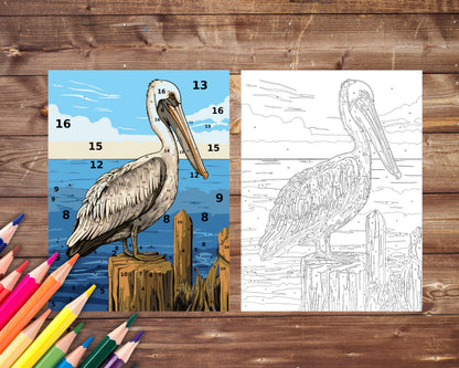 Pelican Paint by Number, Big Bird and Sea Color By Number for Adults, Printable Coloring Pages Sheets, Digital Download, PDF&PNG