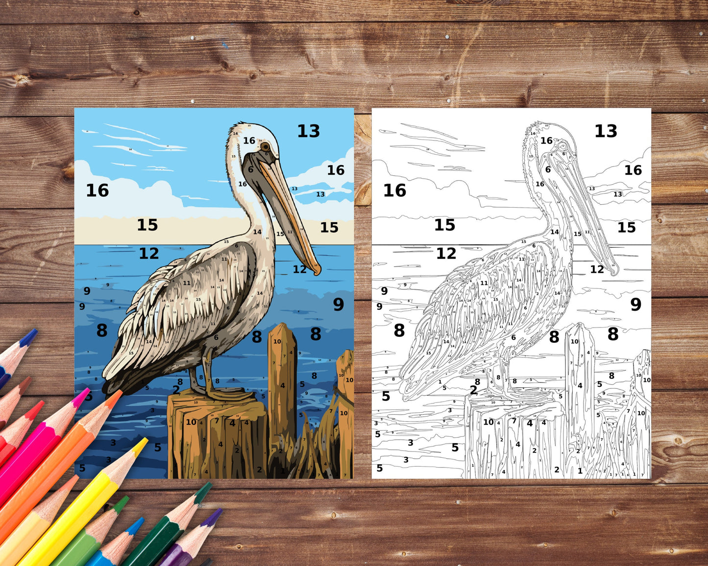 Pelican Paint by Number, Big Bird and Sea Color By Number for Adults, Printable Coloring Pages Sheets, Digital Download, PDF&PNG