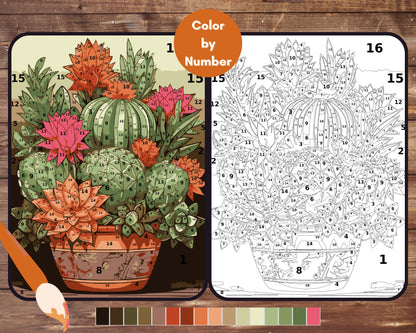 Color By Number for Adult, Cactus Succulent Paint by Number, Printable Coloring Pages Sheets, Digital Download, PDF, PNG