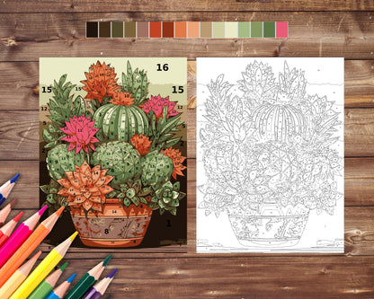 Color By Number for Adult, Cactus Succulent Paint by Number, Printable Coloring Pages Sheets, Digital Download, PDF, PNG