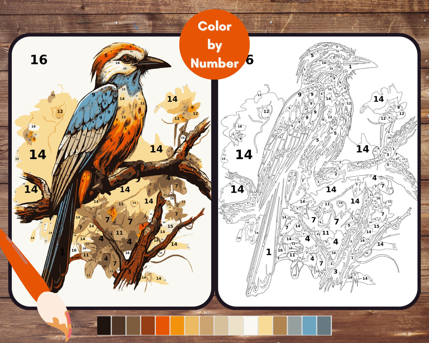 Parrot Color By Number for Adults, Bird Paint by Number, Printable Coloring Pages Sheets, Digital Download, PDF, PNG