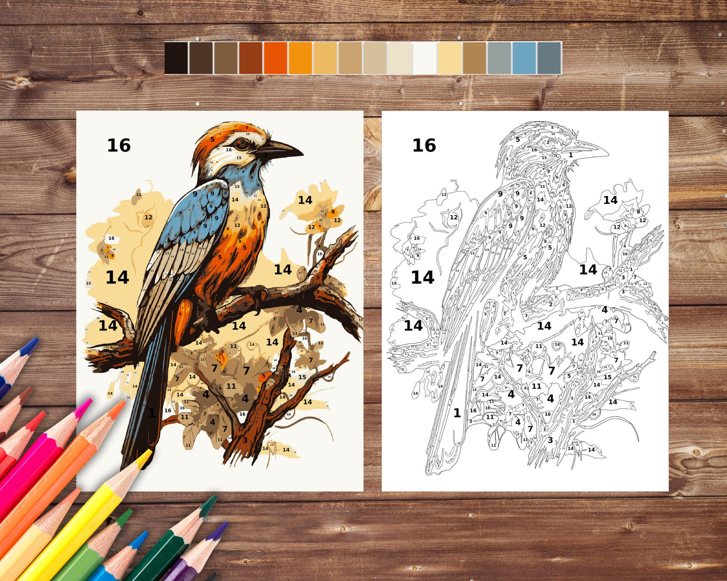 Parrot Color By Number for Adults, Bird Paint by Number, Printable Coloring Pages Sheets, Digital Download, PDF, PNG