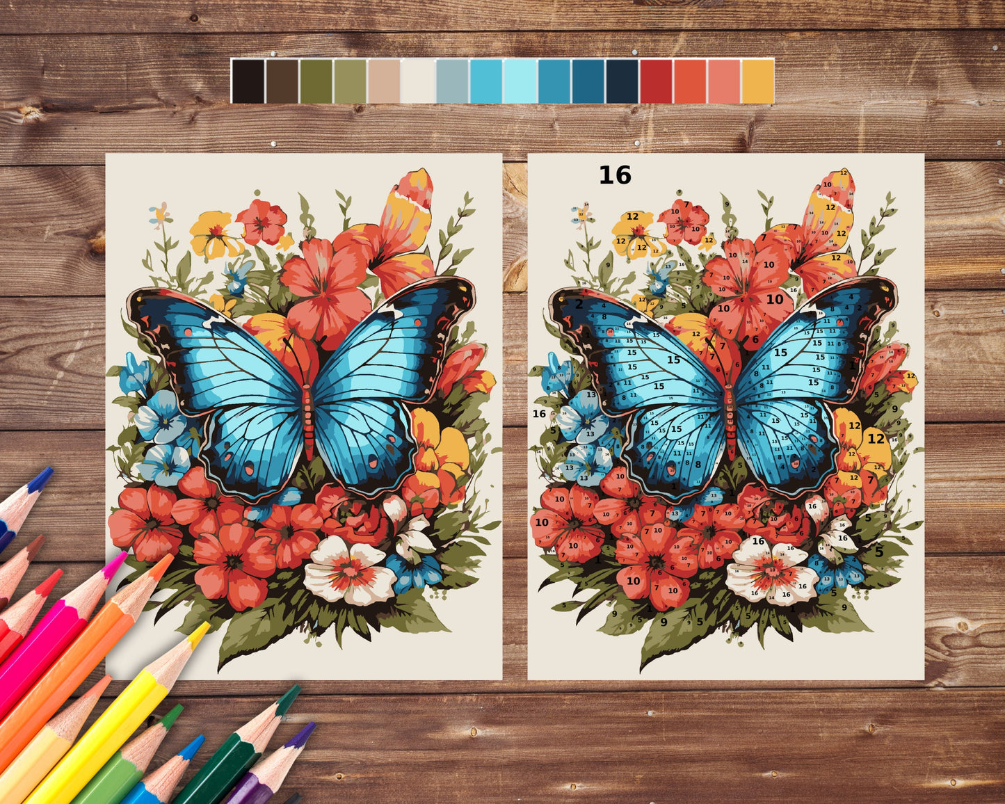 Color By Number for Adults, Butterfly Paint by Number, Printable Coloring Pages Sheets, Digital Download, PDF