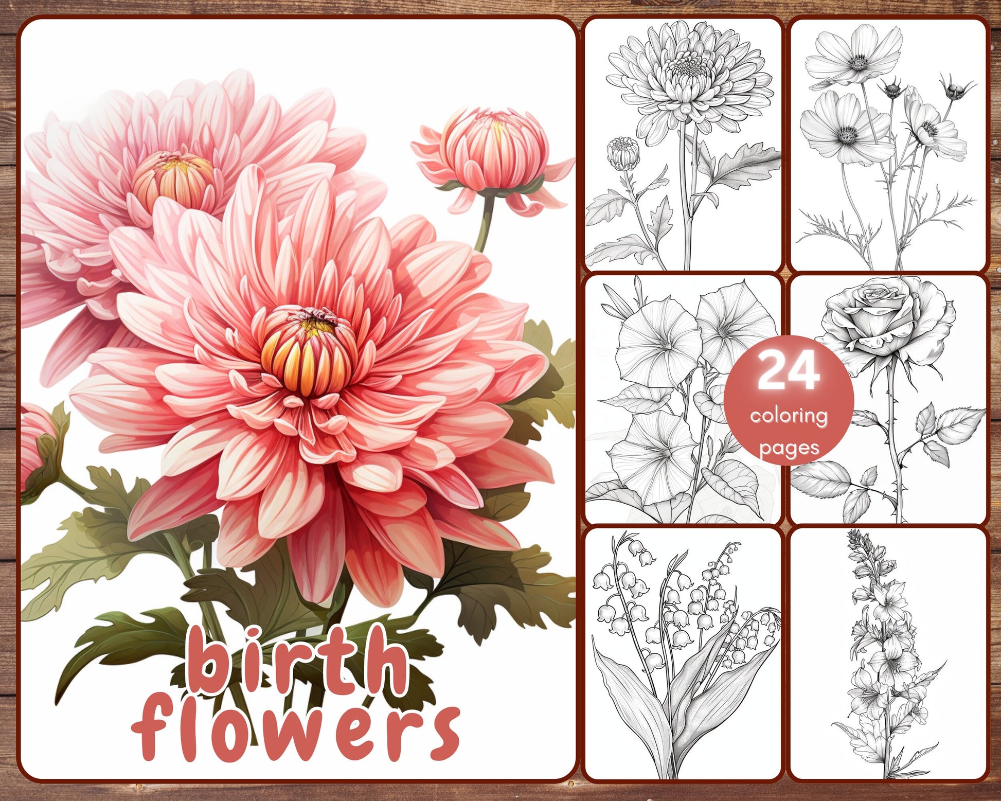 birth flowers coloring book