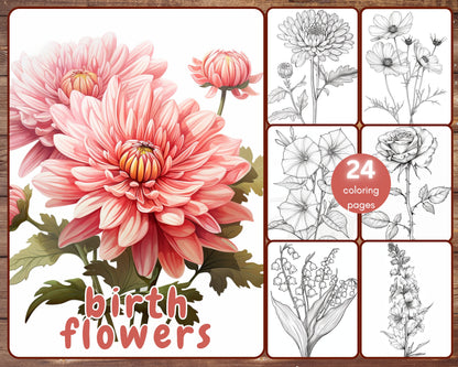 birth flowers coloring book