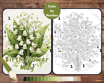 May Birth Flower Color by Number, Lily of the Valley Paint By Number for Adult, Printable Coloring Pages Sheets, Digital Download, PDF&PNG