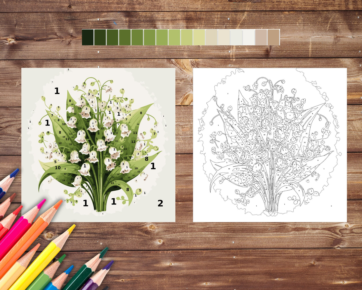 May Birth Flower Color by Number, Lily of the Valley Paint By Number for Adult, Printable Coloring Pages Sheets, Digital Download, PDF&PNG