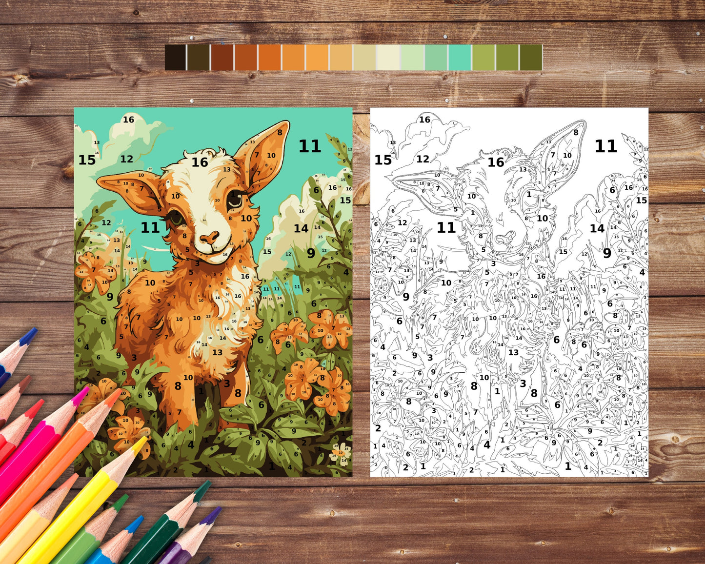 Cute Goat Paint by Number, Farm Animal Color By Number for Adults, Printable Coloring Pages Sheets, Digital Download, PDF&PNG