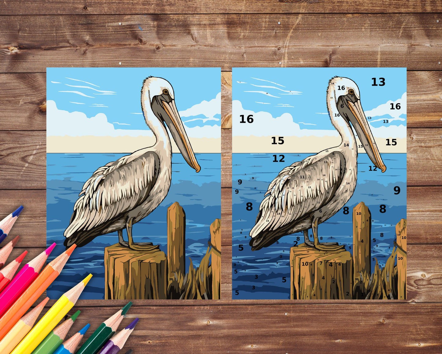 Pelican Paint by Number, Big Bird and Sea Color By Number for Adults, Printable Coloring Pages Sheets, Digital Download, PDF&PNG