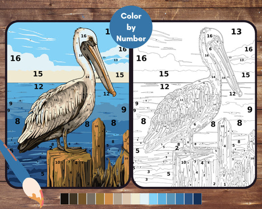 Pelican Paint by Number, Big Bird and Sea Color By Number for Adults, Printable Coloring Pages Sheets, Digital Download, PDF&PNG