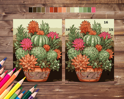 Color By Number for Adult, Cactus Succulent Paint by Number, Printable Coloring Pages Sheets, Digital Download, PDF, PNG