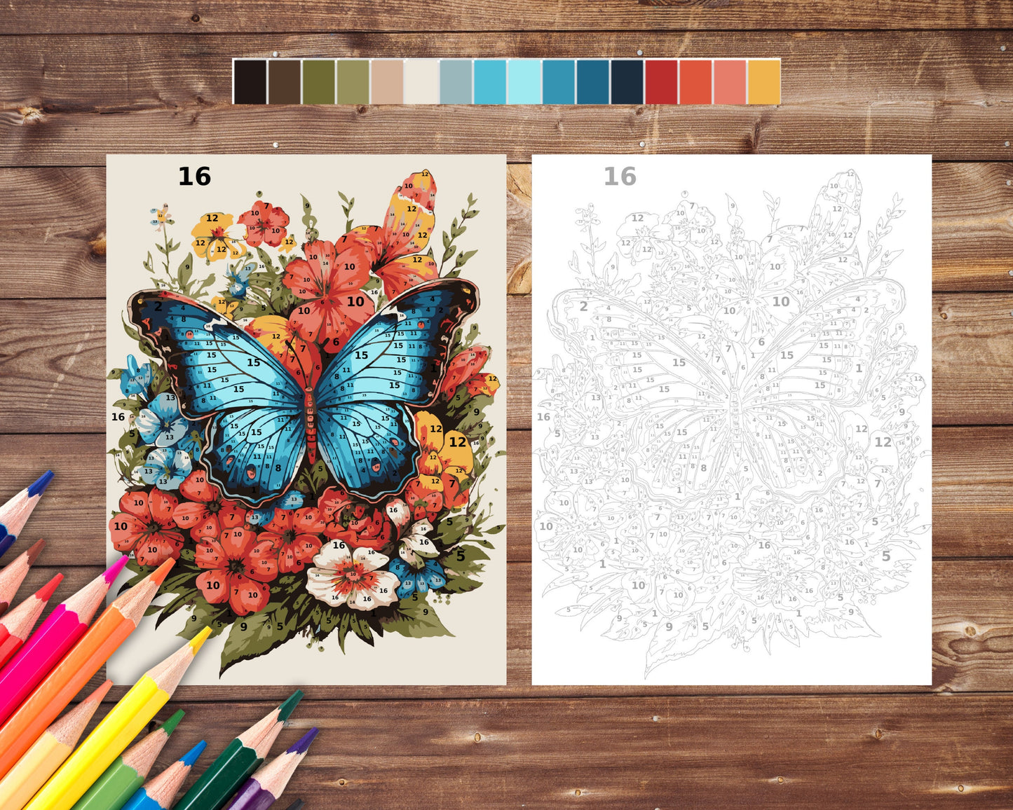 Color By Number for Adults, Butterfly Paint by Number, Printable Coloring Pages Sheets, Digital Download, PDF