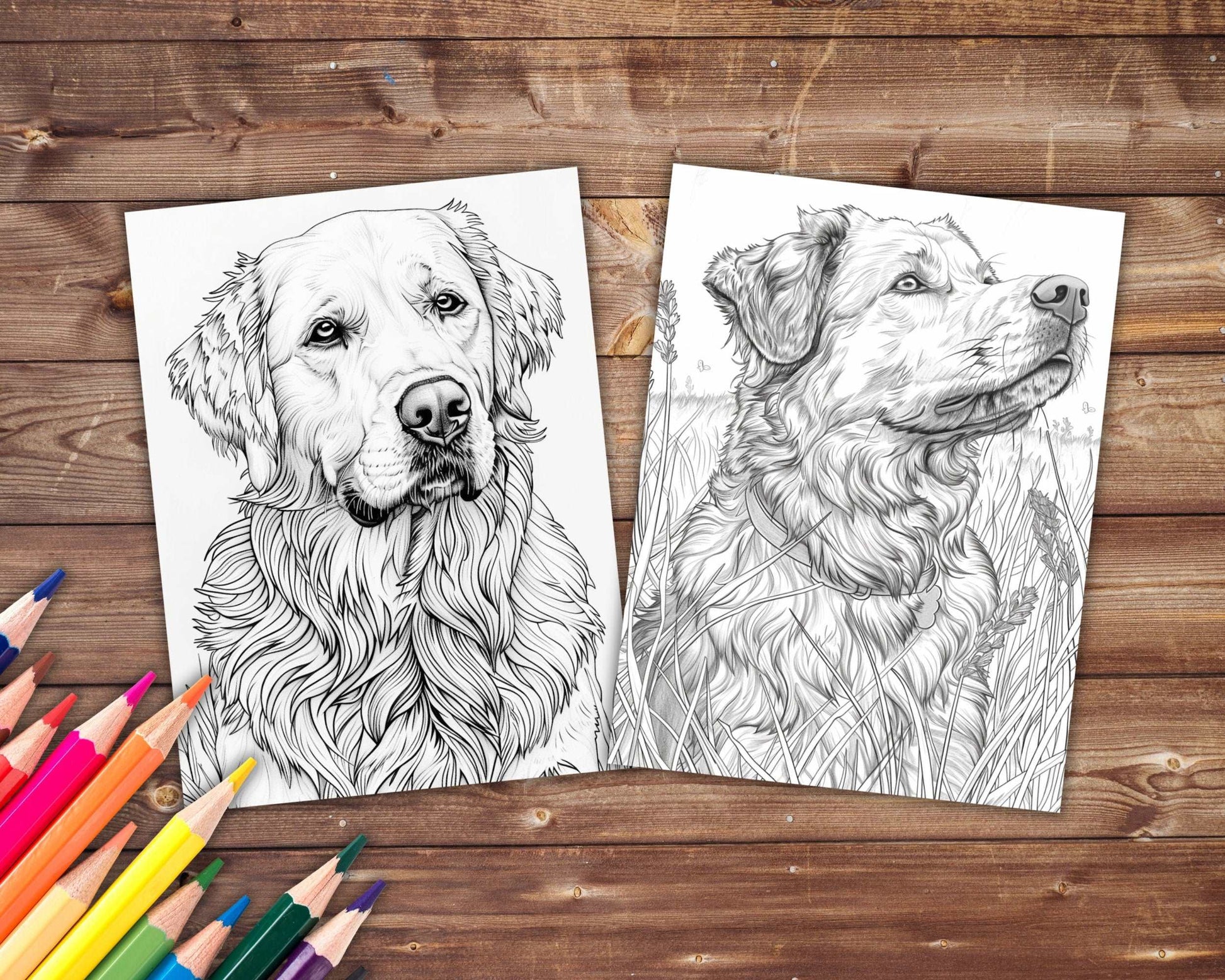 31 Dogs Coloring Book, Grayscale Dog Breeds Coloring Pages for Adults Kids, Golden Retriever, Corgi, Printable PDF, Instant Download