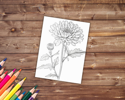 Birth Flowers Coloring Book, Digital Download