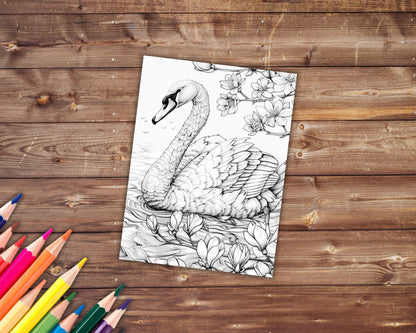 30 Spring Animals Coloring Book, Grayscale Animals and Flowers Coloring Pages for Adults Kids, Birds, Swan, Printable PDF, Instant Download