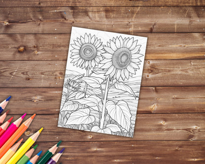 37 Sunflowers Coloring Book, Grayscale Sunflower Coloring Pages for Adults and Kids, Botanical, Floral, Spring, Printable PDF