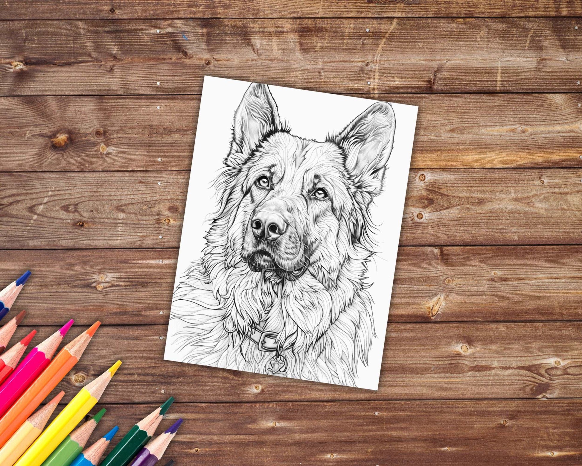 31 Dogs Coloring Book, Grayscale Dog Breeds Coloring Pages for Adults Kids, Golden Retriever, Corgi, Printable PDF, Instant Download