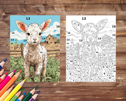 Lamb Paint by Number, Farm Animal Color By Number for Adults, Printable Coloring Pages Sheets, Digital Download, PDF&PNG