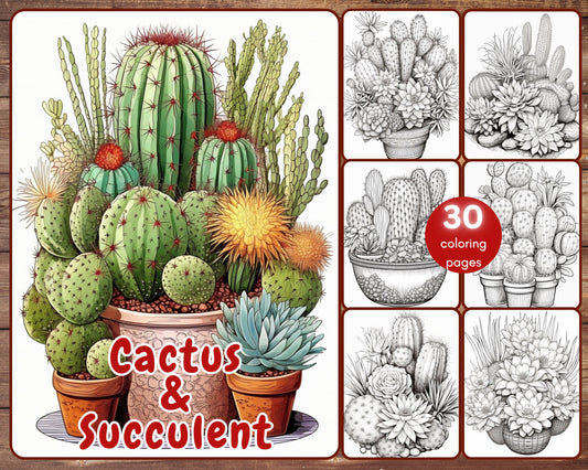 cactus succulent coloring book