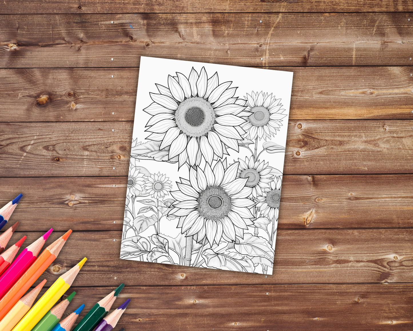 37 Sunflowers Coloring Book, Grayscale Sunflower Coloring Pages for Adults and Kids, Botanical, Floral, Spring, Printable PDF