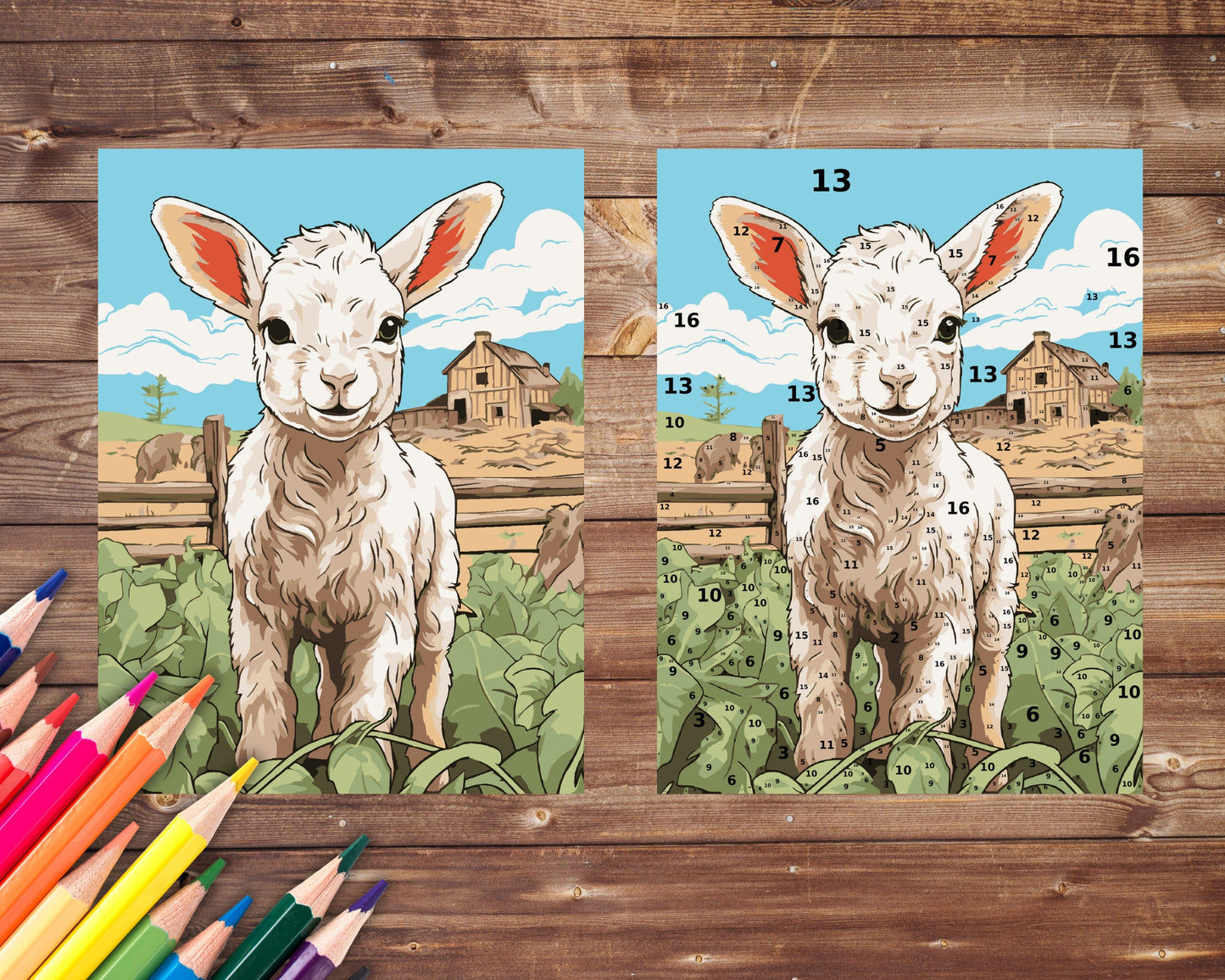 Lamb Paint by Number, Farm Animal Color By Number for Adults, Printable Coloring Pages Sheets, Digital Download, PDF&PNG