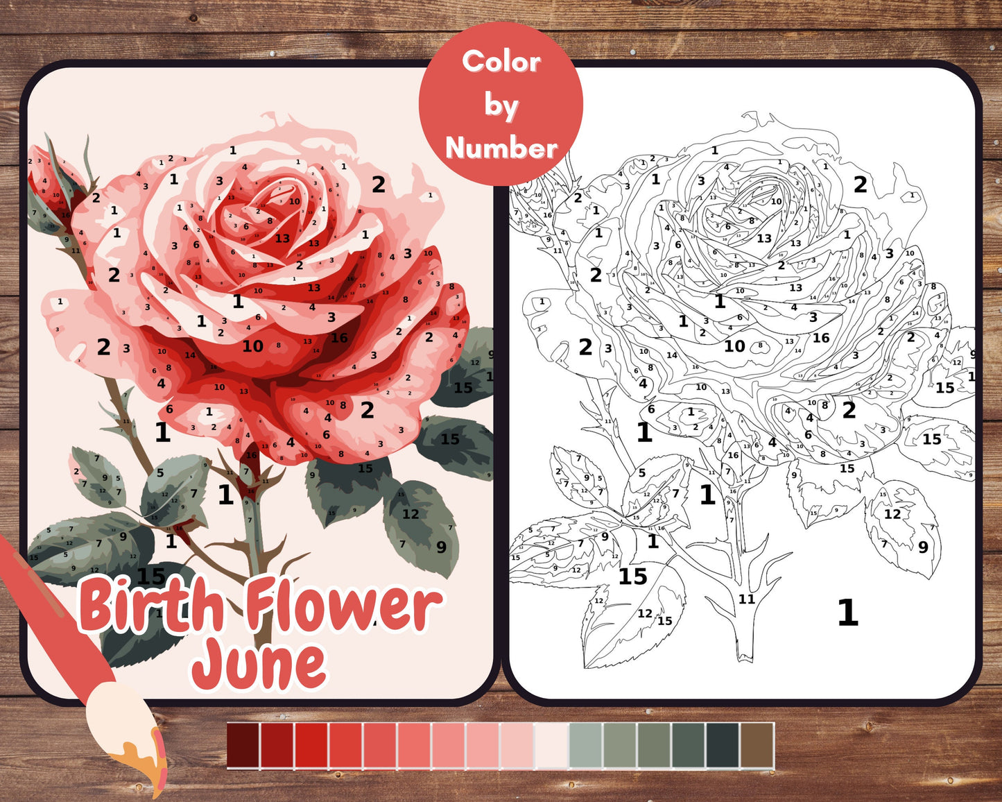 June Birth Flower Color by Number, Rose Paint By Number for Adult, Printable Coloring Pages Sheets, Digital Download, PDF&PNG