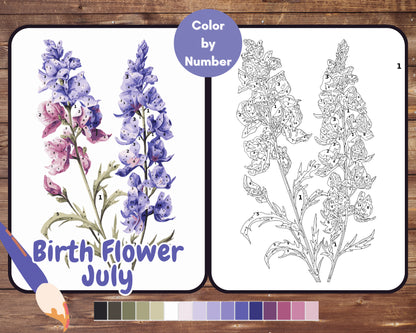 July Birth Flower Color by Number, Larkspur Paint By Number for Adult, Printable Coloring Pages Sheets, Digital Download, PDF&PNG